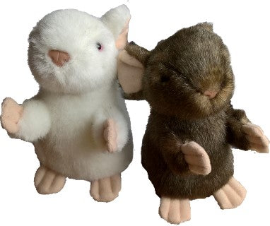 An image of soft toy mice, one with white fur, one with brown. Perfect companions for little ones getting ready to start their educational journey!