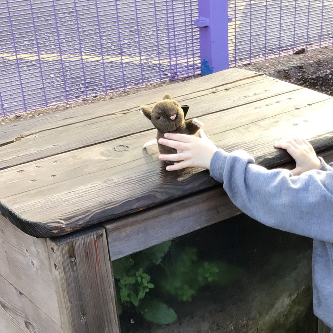 A child is playing with a toy mouse in the school garden 