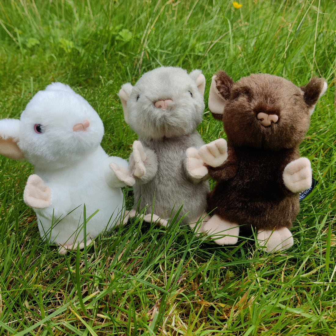 Three plush mice of different colours, white, grey and brown, are sitting on the grass. 