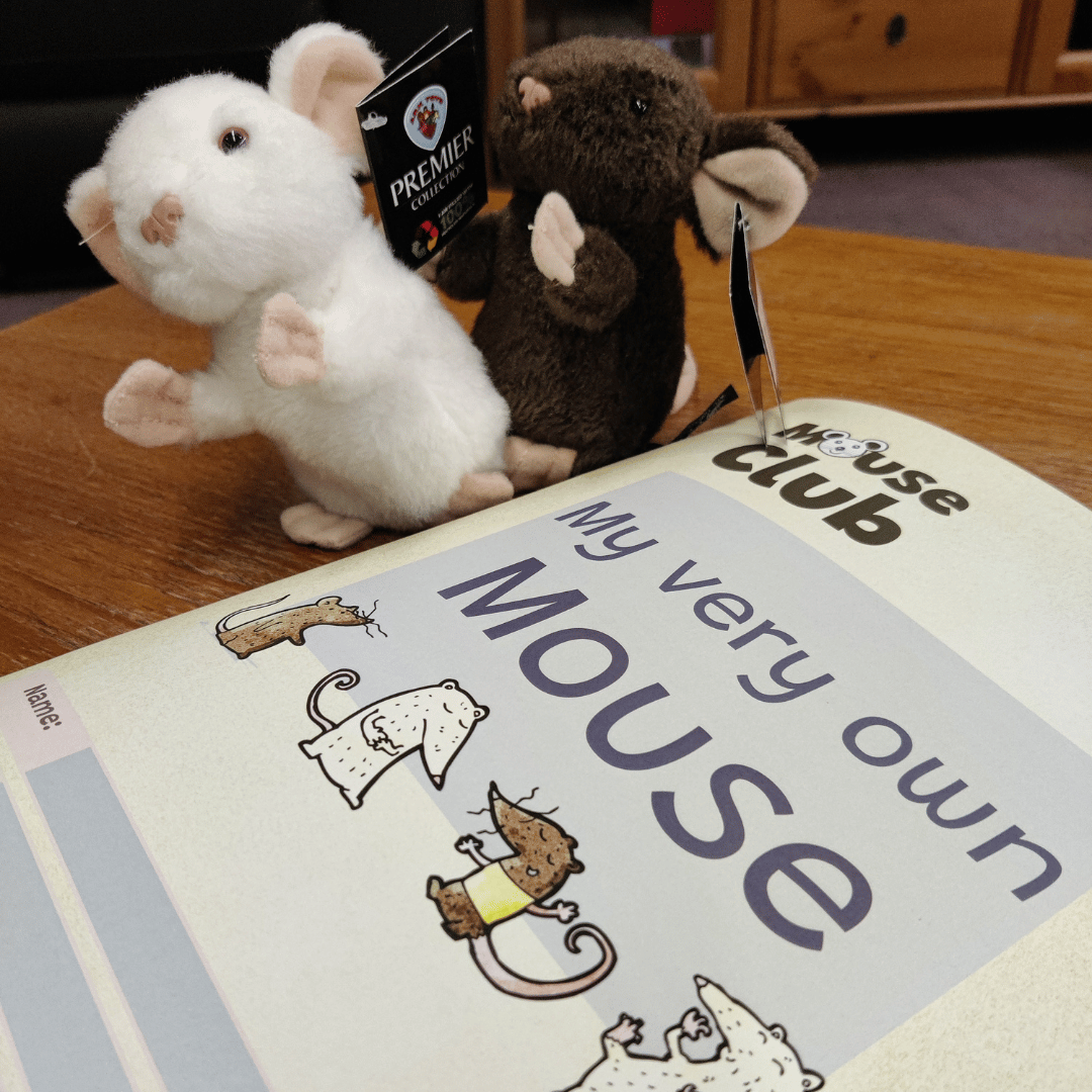 Two cuddly toy mice, one brown and one white, are next to a childrens activity book entitled "My Very Own Mouse Book". 