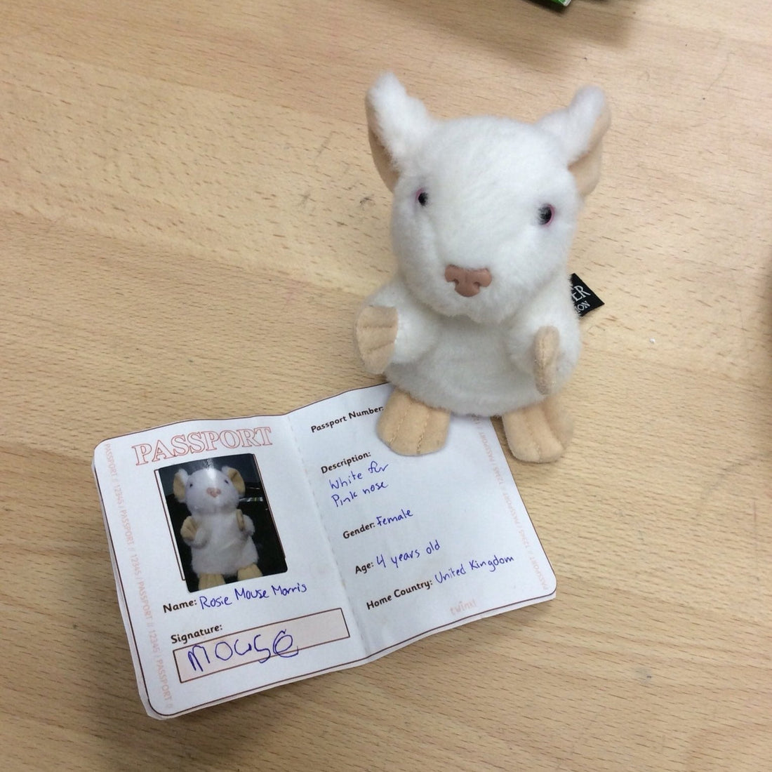 A toy mouse is next to her 'Ready for school Passport'.