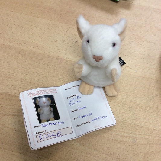 A toy mouse is next to her 'Ready for school Passport'.