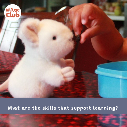 An image of a child's hand feeding raisins to a cute small white toy mouse. Underneath are the words "What are the skills that support learning?", and the Mouse Club logo.
