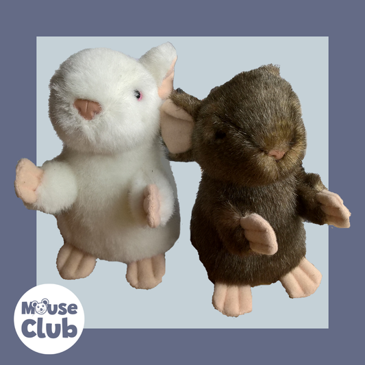 Two cute toy mice, one white and one brown, with pink hands and noses and black eyes, are on a pale blue background with a mid-blue border. The logo reads Mouse Club; the o is a Mouse's face. 